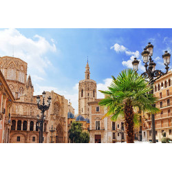 Valencia Centro Year 6