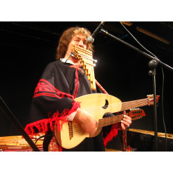 Concierto Música Pablo Nahual Year 2