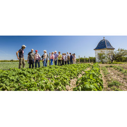 Huerto Sinisterra Godelleta Year 3