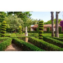 Year 1 Parque Viveros