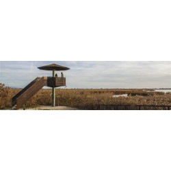 Year 10 - DELTA DEL EBRO
