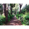 Year 5 - Parque Viveros