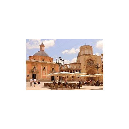 Year 8 - Visita a Valencia