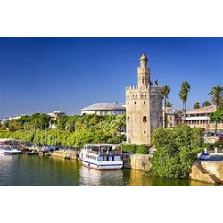 Year 11  -  Sevilla