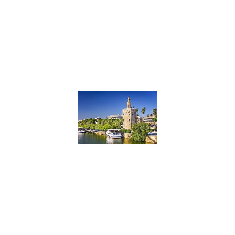Year 11  -  Sevilla