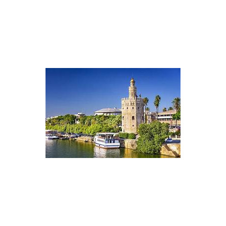 Year 11  -  Sevilla