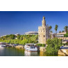 Year 11  -  Sevilla
