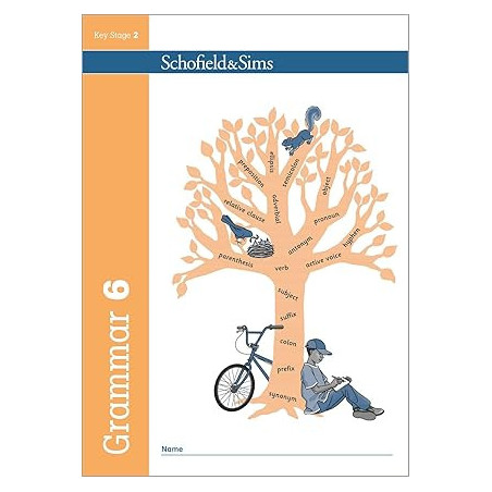 GRAMMAR AND PUNCTUATION BOOK6